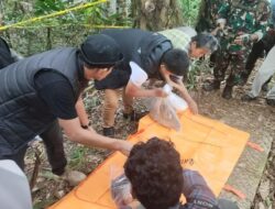 Feni Ere Dihancurkan, Polisi Kini Tangkap Pembunuh di Sulsel!