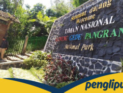 Waspadai! Pendakian ke Gede Pangrango Ditutup karena Gempa Vulkanik Meningkat