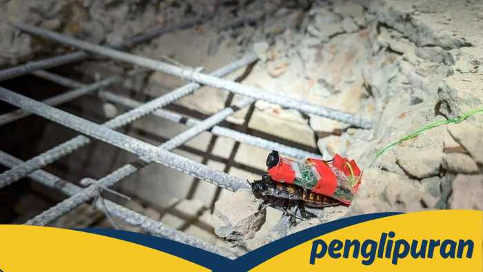 Kecoa Cyborg dari Singapura: Solusi Inovatif dalam Bencana Gempa Myanmar!
