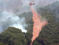 Helikopter Pemadam Kebakaran Jatuh di Korsel, Pilot Tewas – Update 2