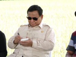 Prabowo Mendengarkan Jujur dari Petani di Tengah Panen Raya Majalengka