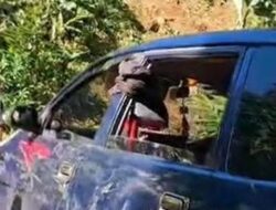 **Bogor Geger, Mobil Wisatawan “Tak Kuat Menanjak” dan Terperosok ke Tebing!**