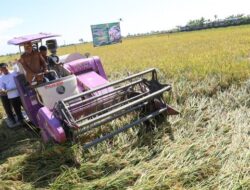 Panen Raya, Andra Soni Pastikan Harga Gabah Kering di Banten Rp 6.500/Kg – Update 2