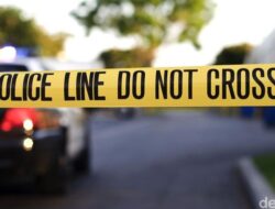 Meksiko Selatan dalam Kebingungan: 11 Tubuh Ditemukan