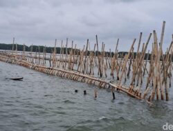4 Fakta Perkara Pagar Laut Bekasi yang Nyaris Tertutup: Kisah 9 Tersangka di Balik SHM