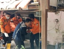 Mengerikan! Jenazah Pria Surabaya Digigiti Anjing, Apa yang Terjadi?