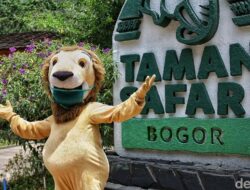**Taman Safari Indonesia Menyatakan Tak Ada Eksploitasi Mantan Pemain Sirkus**