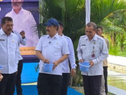 Panen Padi Bersama Napi, Lalu Ikan? Menteri Agus Buktikan Perubahan di Lapas Terbuka!