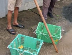 Dari Motor ke Buah, Seorang Pelaku Langsung Jual Motor yang ‘Dibarter’ Panggulan Buah ke Bengkel