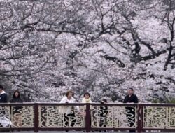 “Cara Jepang Hidup Panjang dengan Konsep Yutori yang Jarang Diketahui”