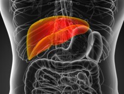 7 Makanan Sehari-hari yang Dapat Menyelamatkan Liver Anda, Termasuk Kopi!
