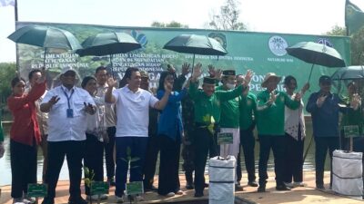 Agung Sedayu Gandeng Natabumi, 7.000 Mangrove Ditanam di Pesisir – Update 2