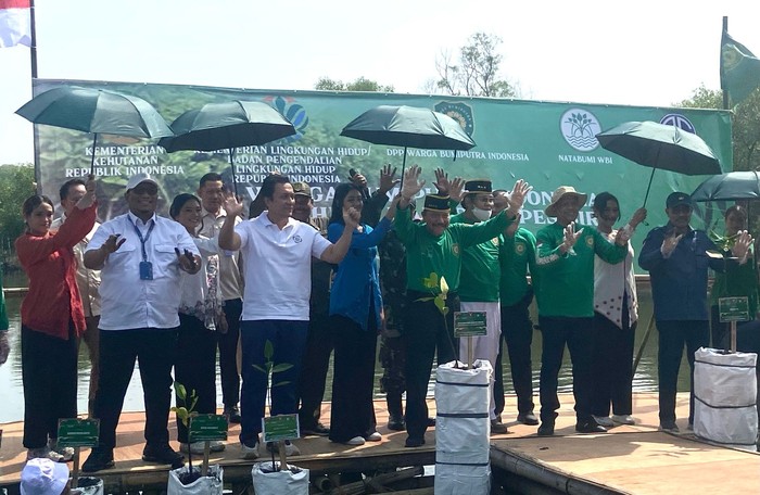 Agung Sedayu Gandeng Natabumi, 7.000 Mangrove Ditanam di Pesisir - Update 2