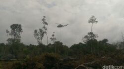 Polres Pelalawan Tangkap 2 Tersangka Pembakar Hutan di TNTN, Ancaman Terhadap Ekosistem Lokal!