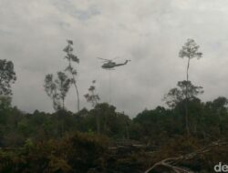 Polres Pelalawan Tangkap 2 Tersangka Pembakar Hutan di TNTN, Ancaman Terhadap Ekosistem Lokal!