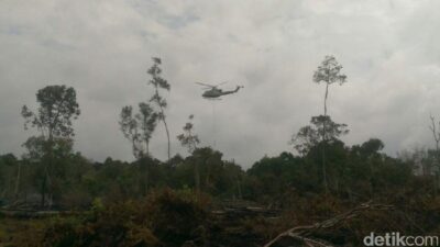 Polres Pelalawan Tangkap 2 Tersangka Pembakar Hutan di TNTN, Ancaman Terhadap Ekosistem Lokal!