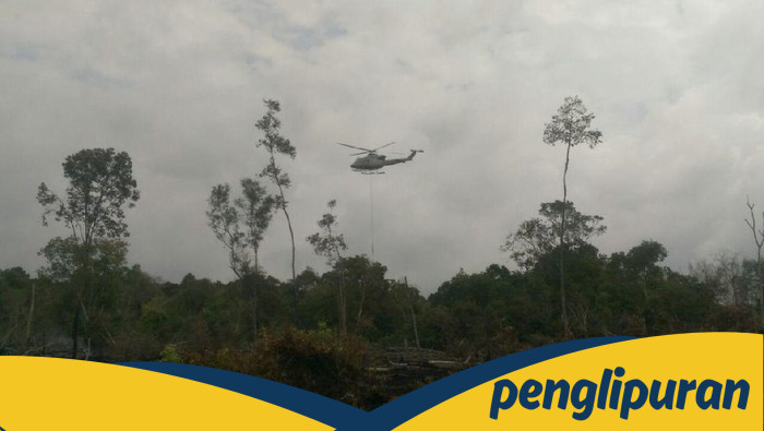 Polres Pelalawan Tangkap 2 Tersangka Pembakar Hutan di TNTN, Ancaman Terhadap Ekosistem Lokal!