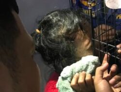 Matanya Tertancap Besi, Warga Tangsel Terkejut, Damkar Segera Evakuasi