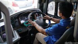 Pilot dan Nakhoda Wajib Sekolah, Tapi Sopir Truk dan Bus? Cuma Belajar dari Jalanan! – Update 2