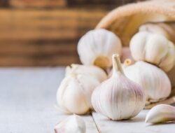 Dari Bawang Putih, Cegah Jantung atau Hanya Kebohongan? Benarkah Rajin Makan Bawang Putih Cegah Penyakit Jantung?