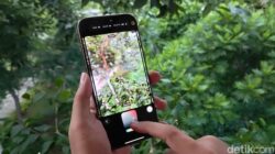 “iPhone 16: Gaya Fotografi yang Bukan Filter, Hasilnya Lebih Unik dari yang Kamu Bayangkan!”