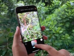 “iPhone 16: Gaya Fotografi yang Bukan Filter, Hasilnya Lebih Unik dari yang Kamu Bayangkan!”