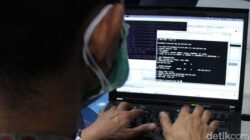 PPATK: 400 Anak Muda Main Judol, Apa yang Terjadi?