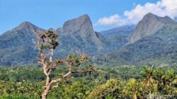 Risiko Kecelakaan Tinggi, Pendakian 3 Gunung di Bondowoso Dilarang – Update 1