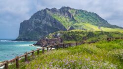 “Viral di Drakor: Rahasia ‘Haenyeo’ Jeju yang Membuat Menyelam Tanpa Oksigen Jadi Mungkin!”