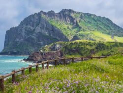 “Viral di Drakor: Rahasia ‘Haenyeo’ Jeju yang Membuat Menyelam Tanpa Oksigen Jadi Mungkin!”