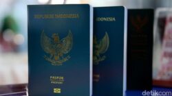 “Paspor Kedaluwarsa Apakah Kena Denda? Ini Penjelasannya”