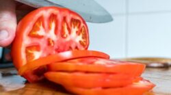 Mengungkap Misteri Tomat: Buah atau Sayur dengan Teknologi Genetika