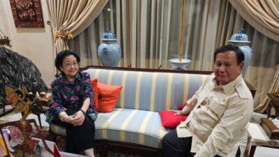 “Kode Nasi Goreng Mega ke Prabowo, Analisis Pakar Ungkap Soal Wapres yang Membuat Heboh!”