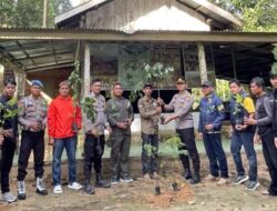 [Rimbang Baling Riau: Hutan Suaka yang Menyelamatkan Satwa Langka]