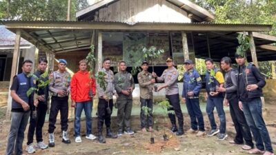 [Rimbang Baling Riau: Hutan Suaka yang Menyelamatkan Satwa Langka]
