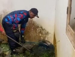 Warga Bogor Terkejut, 3 Musang Masuk Rumah, Damkar Turun Tangan!