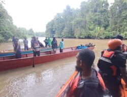 Waspadalah! Pria di Sorong Hilang Diterkam Buaya Saat Mancing Ikan, Tragedi yang Tak Terduga