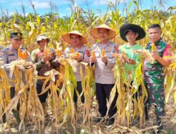 Polda Jambi Berkontribusi Besar, 46 Ton Jagung Dukung Ketahanan Pangan
