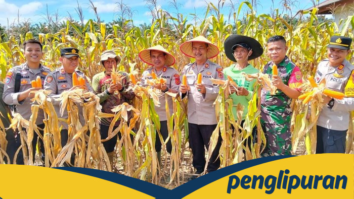 Polda Jambi Berkontribusi Besar, 46 Ton Jagung Dukung Ketahanan Pangan