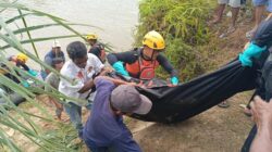 [Tragedi di Sumbar: Warga Nyeberang Kanal, Malah Disergap Buaya dan Tewas]