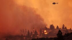 Kebakaran Hebat Landa Hutan di Kanada: 2 Orang Tewas-Ribuan Warga Mengungsi – Update 1