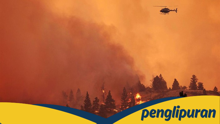 Kebakaran Hebat Landa Hutan di Kanada: 2 Orang Tewas-Ribuan Warga Mengungsi - Update 1