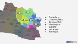 “Rebana: Investasi Berpotensi Tinggi yang Tidak Boleh Dilewatkan di detikcom Regional Summit”