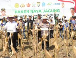 Kapolri dan Mentan:BlockSize Ketahanan Pangan di Bone dengan Panen Raya Jagung
