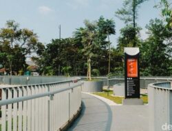 **Suara Warga Taman di Jakarta Kini Buka 24 Jam: Pro & Kontra atas Kebijakan Baru**