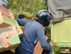 [Viral Warga Jarah Mi Instan dari Truk yang Kecelakaan di Sumsel, Sopir Kabur]