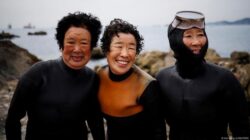 “Perempuan Jeju, Para Pemecah Rekor Bawah Laut: Inilah Rahasia di Balik Kesaktian Penyelam Korsel”