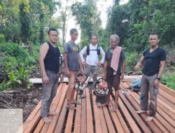 Polisi Bongkar Pembalakan Liar di Hutan Senepis Riau, 2,5 Ton Kayu Disita, Bongkar Skandal Kekalahan Hutan