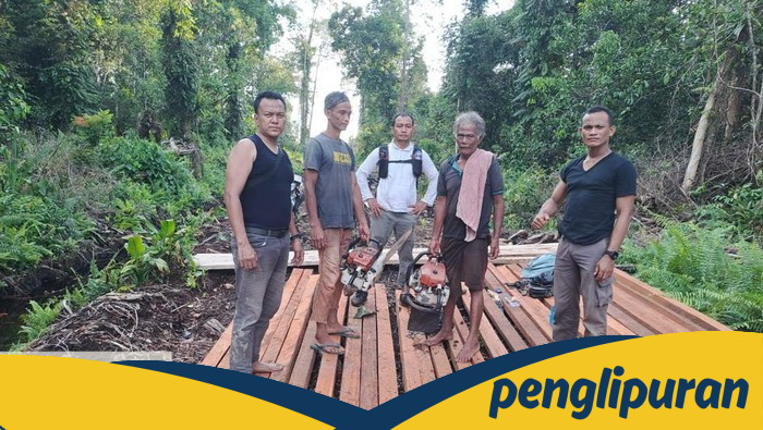 Polisi Bongkar Pembalakan Liar di Hutan Senepis Riau, 2,5 Ton Kayu Disita, Bongkar Skandal Kekalahan Hutan