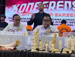 Bareskrim Bongkar Penyelundupan Gading Gajah-Patung Ukiran Senilai Rp 2,4 M – Update 1
